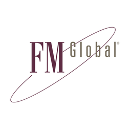 FM Insurance Europe S.A. logo