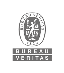 BUREAU VERITAS SERVICES FRANCE logo