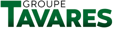 Groupe TAVARES DA SILVA logo