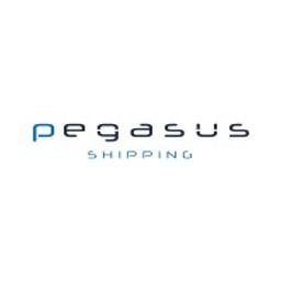 Pegasus Shipping SARL logo