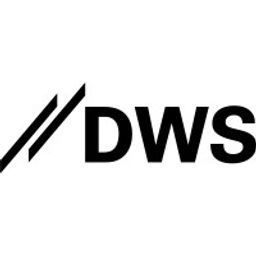 DWS INTERNATIONAL logo