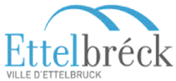 Centre Hospitalier Neuro-Psychiatrique logo