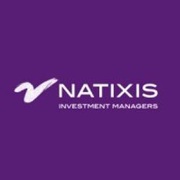 NATIXIS INVESTMENT MANAGERS INTERNATIONAL logo